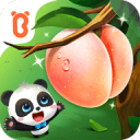 出手数比得分数还高，但火箭二队依然将他作为核心进行培养？
